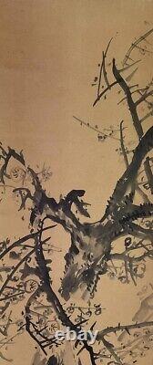 JAPANESE PAINTING HANGING SCROLL OLD Plum JAPAN PICTURE ANTIQUE 268r