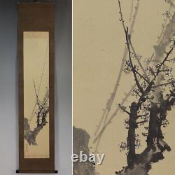 JAPANESE PAINTING HANGING SCROLL OLD Plum JAPAN PICTURE ANTIQUE 920q
