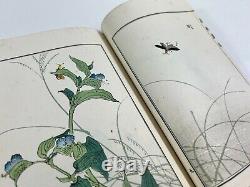 Japanese Woodblock Print Book Insect Picture Book Original Vintage
